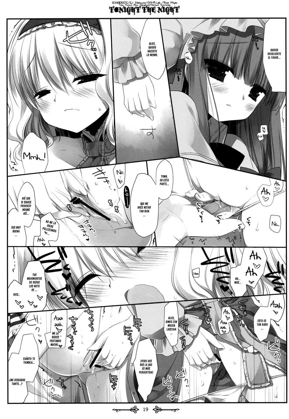 (Reitaisai 9) [D.N.A.Lab., Ichigo Size (Miyasu Risa, Natsume Eri)] Tonight The Night (Touhou Project) [Spanish] [Futanari Freaks] - Page 17