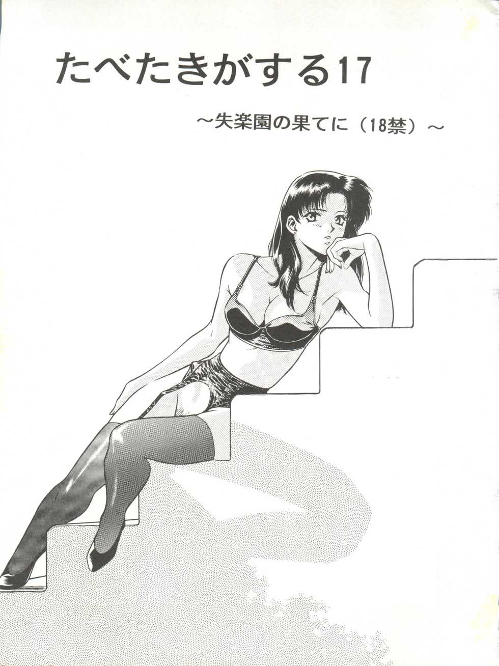 (Comic Castle 8) [Paradise City (Various)] Tabeta Kigasuru 17 (Neon Genesis Evangelion) - Page 3