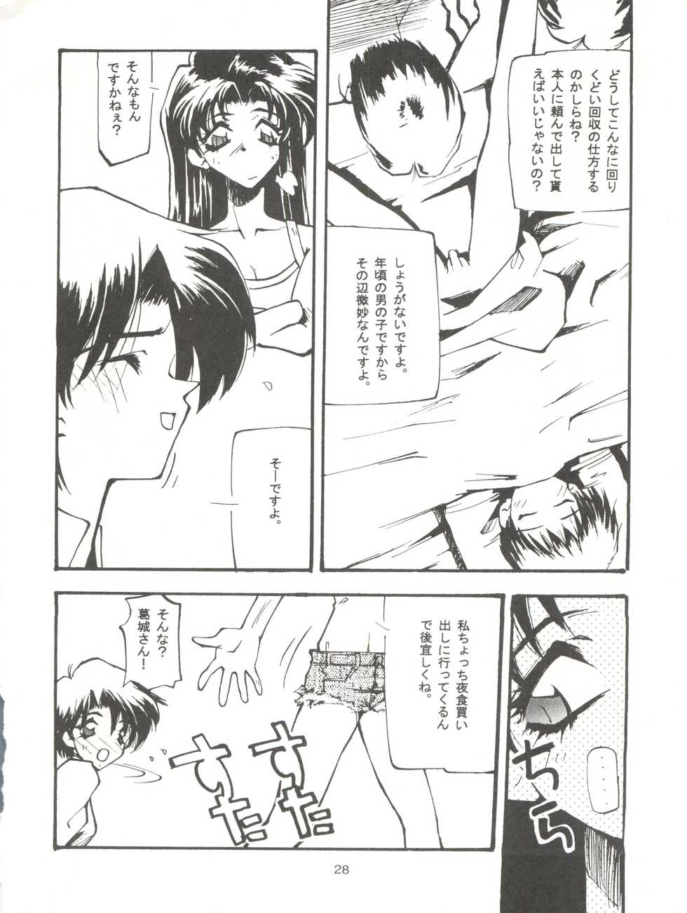 (Comic Castle 8) [Paradise City (Various)] Tabeta Kigasuru 17 (Neon Genesis Evangelion) - Page 28