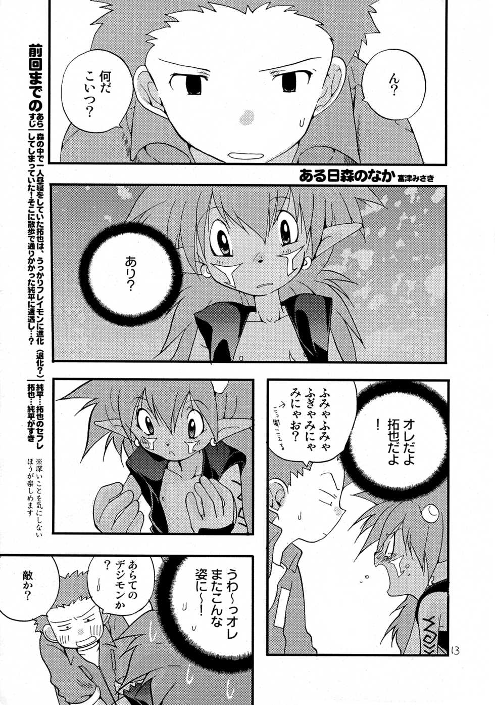 [Tomato Surprise (Futtsu Misaki)] WHAT'S UP GUYS? (Digimon Frontier) - Page 12