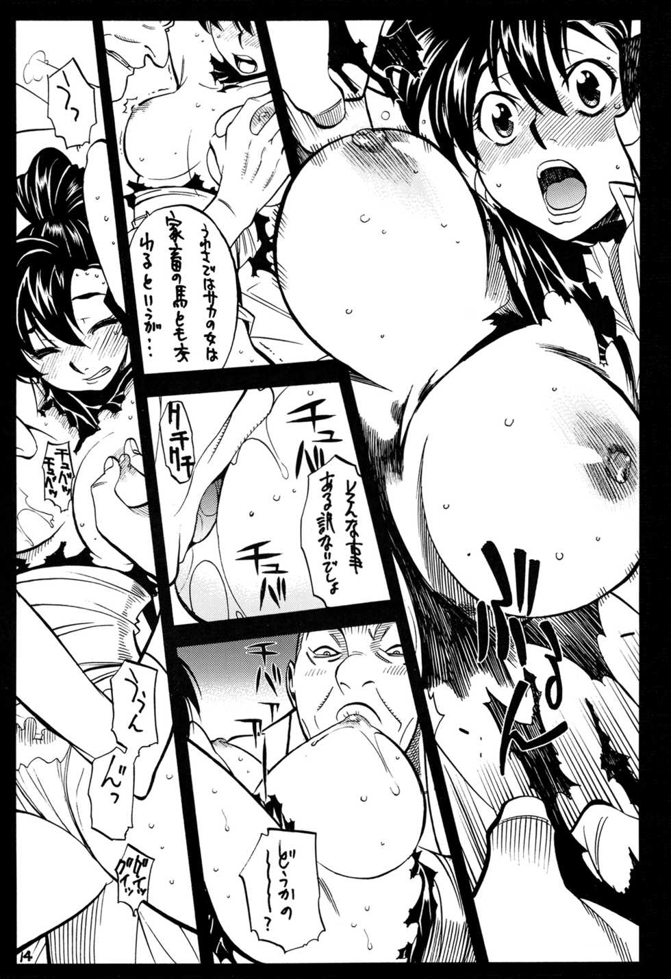 (C71) [GUY-YA (Yamada Shuutarou)] 065 (Fire Emblem Rekka no Ken) - Page 14