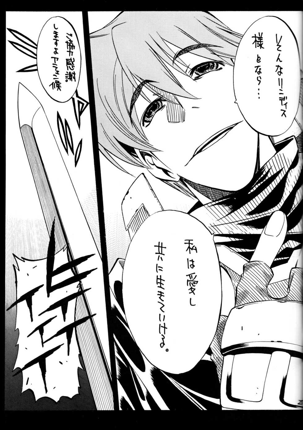 (C71) [GUY-YA (Yamada Shuutarou)] 065 (Fire Emblem Rekka no Ken) - Page 24