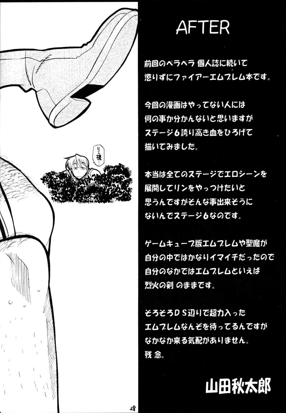 (C71) [GUY-YA (Yamada Shuutarou)] 065 (Fire Emblem Rekka no Ken) - Page 27