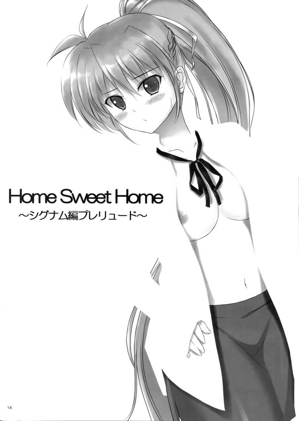 (C80) [IV VA SHIN (Mikuni Mizuki)] Explosion! (Mahou Shoujo Lyrical Nanoha) [Chinese] [靴下汉化组] - Page 14