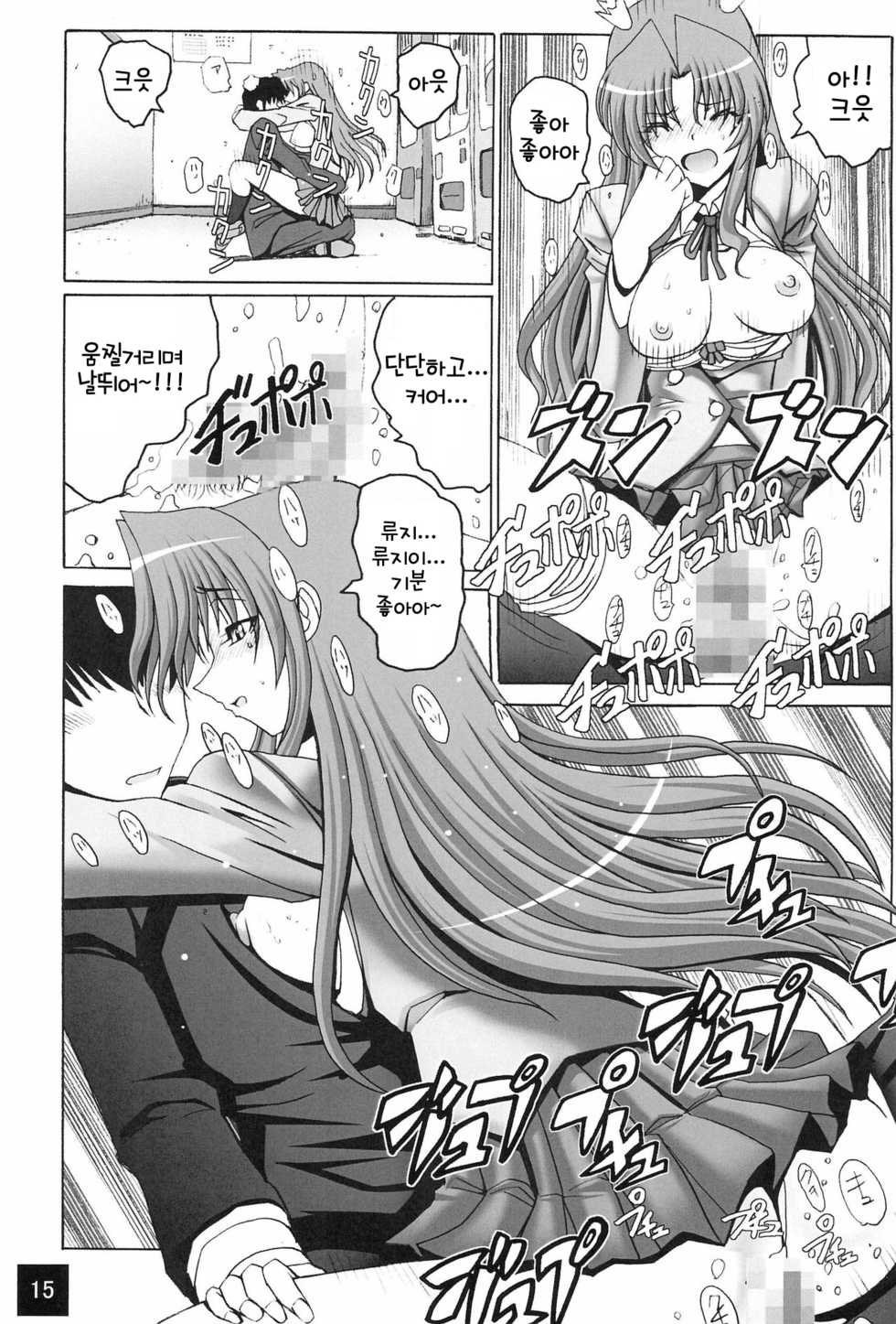 (Ore ga Ryuu de, Omae ga Tora de. ~Hannin wa ○○~) [Oomorian (Ohbayashi Mori, Pensuke)] Limited Chiwadora! | 리미티드 치와도라! (Toradora!) [Korean] - Page 14