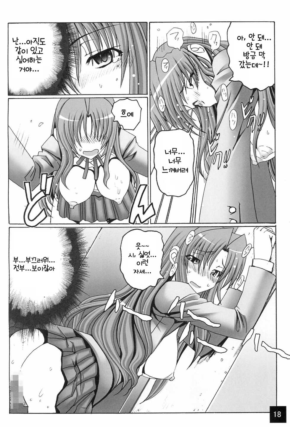 (Ore ga Ryuu de, Omae ga Tora de. ~Hannin wa ○○~) [Oomorian (Ohbayashi Mori, Pensuke)] Limited Chiwadora! | 리미티드 치와도라! (Toradora!) [Korean] - Page 17