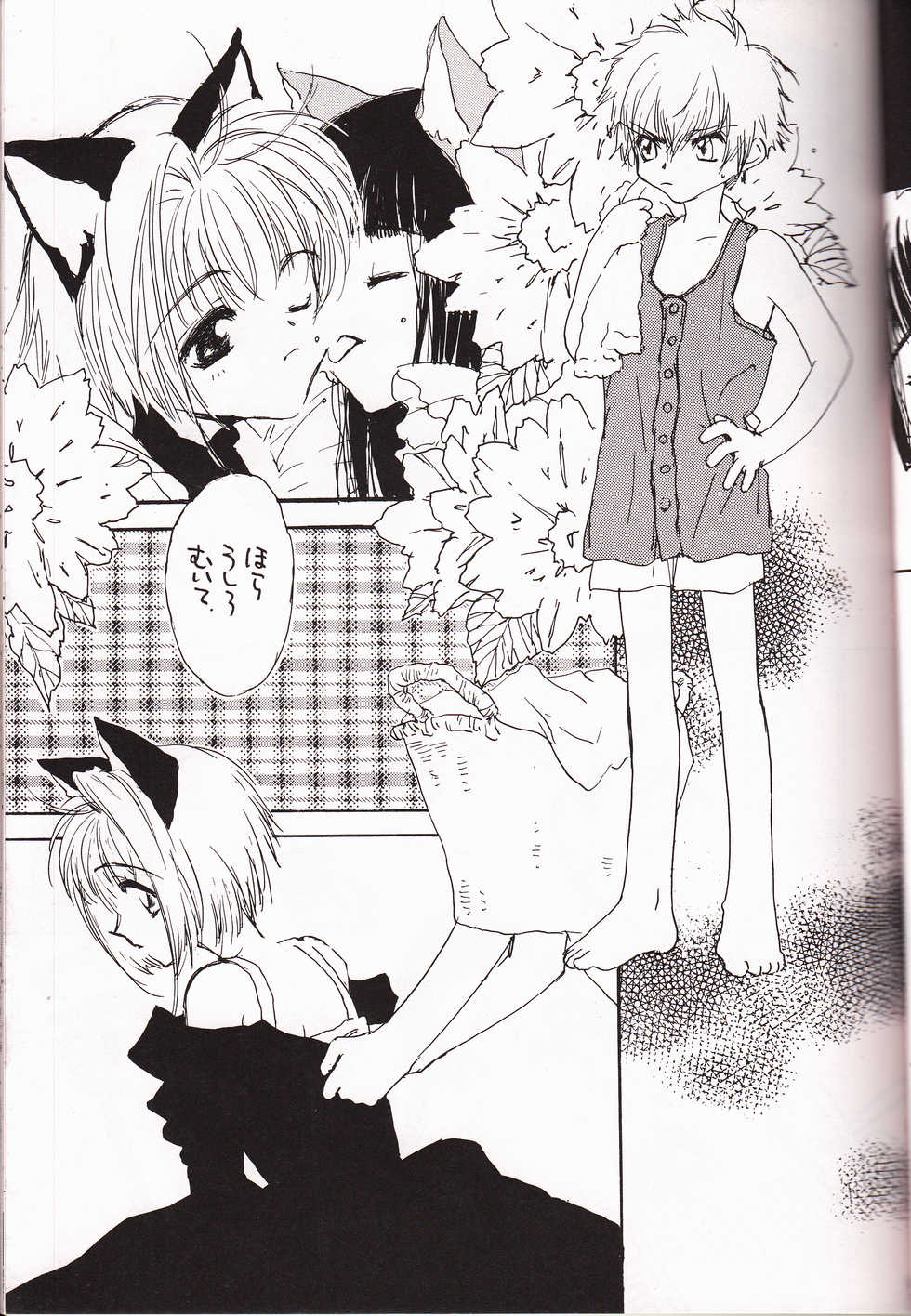 [NINE GATE (Yokoyama Knock)] Miracle Seafood Cake (Cardcaptor Sakura) - Page 10