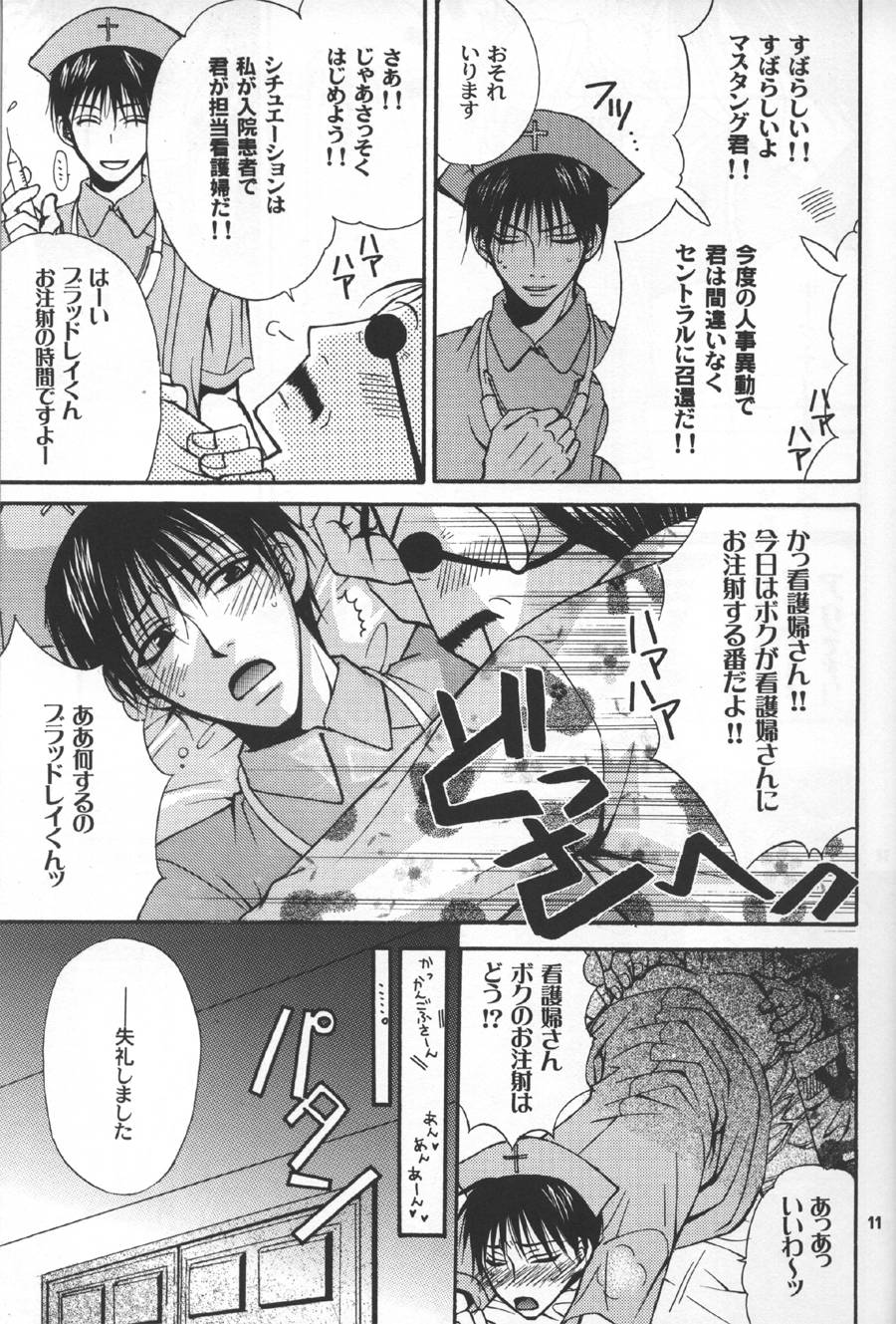 [Kozouya (Eiki Eiki, Zaou Taishi)] Gunji Kimitsu Rensei File (Fullmetal Alchemist) - Page 10