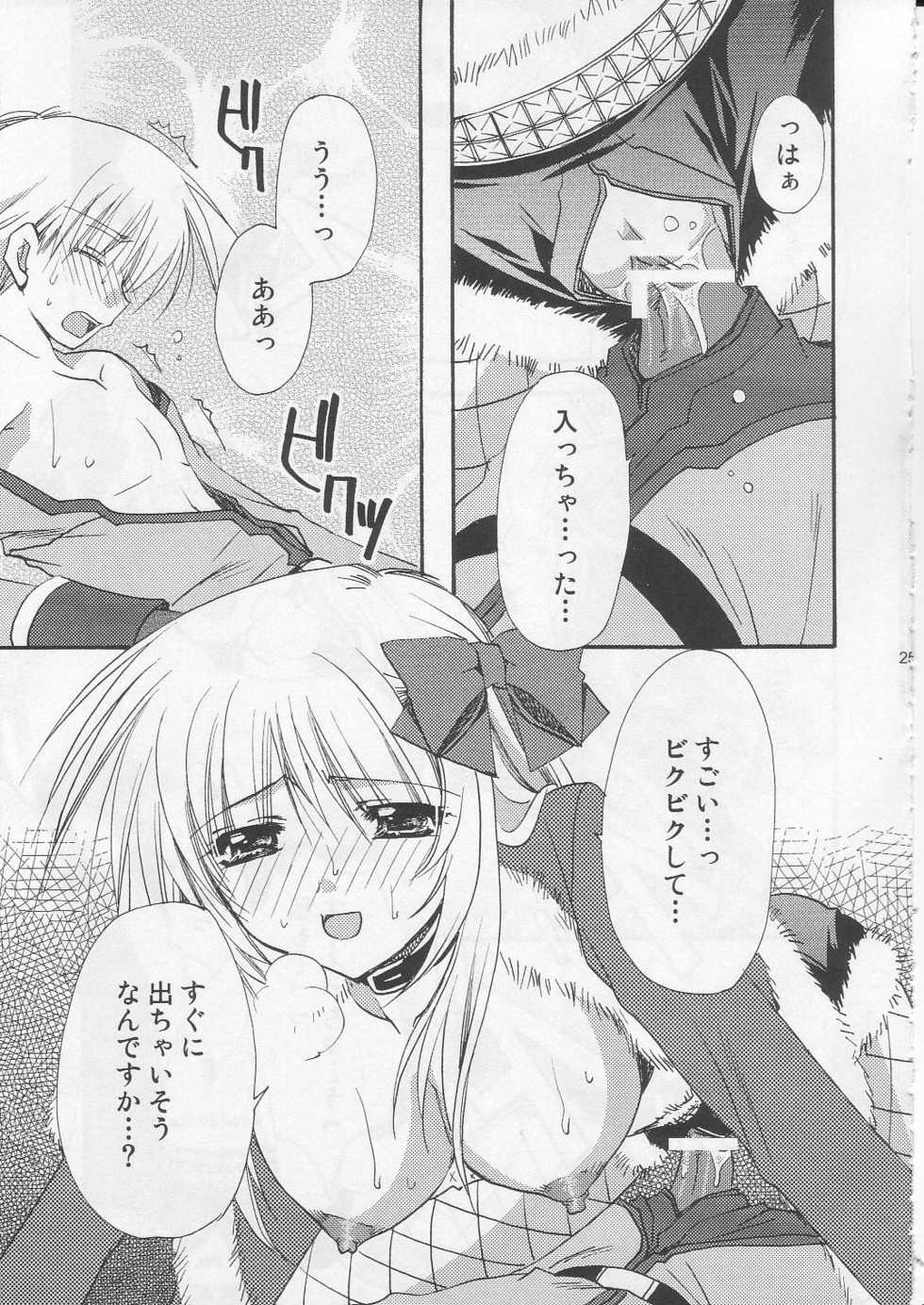 (C71) [Ryuu no Kinyoubi, Jiyou-Kyousou (Ryuga Syo, Nanjou Haruno)] JR04 (Ragnarok Online) - Page 24