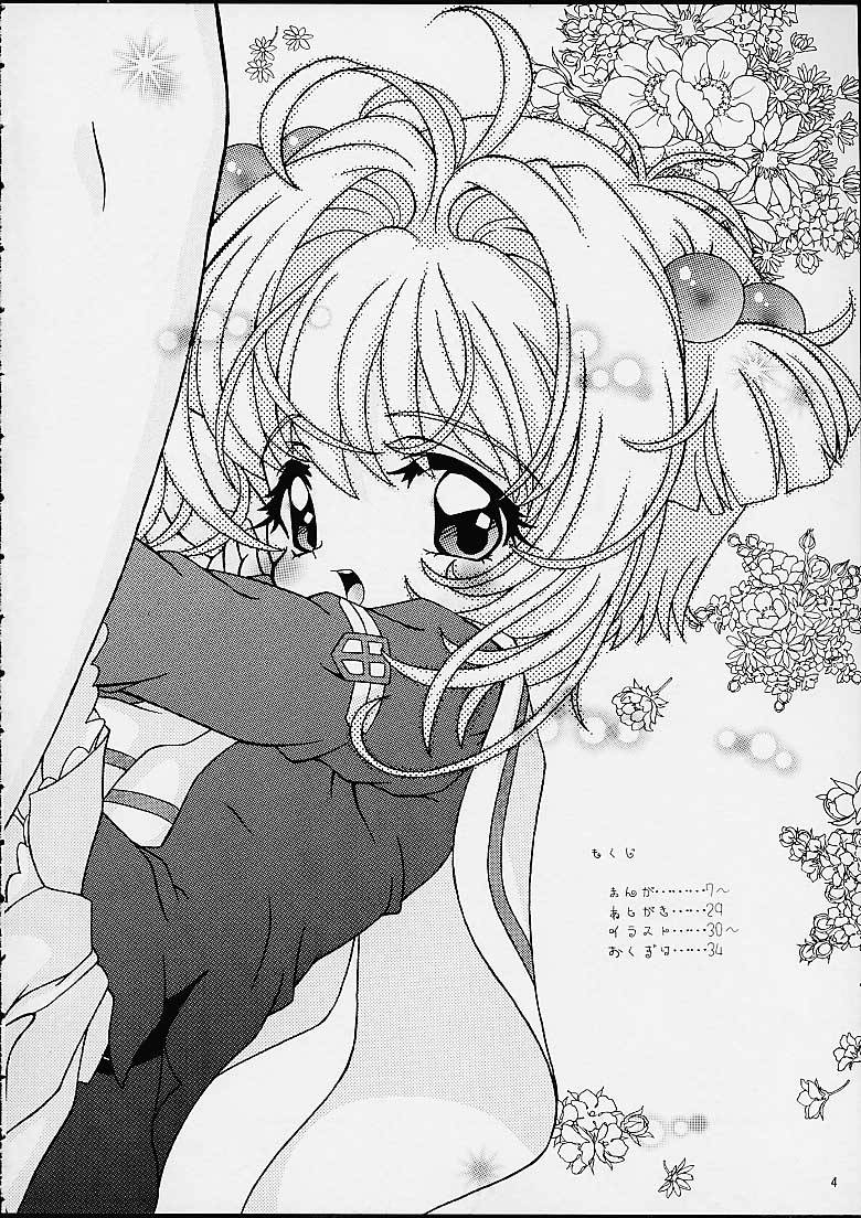 [Log House (Senkan Yamatoni)] Spring is Here (Cardcaptor Sakura) - Page 2