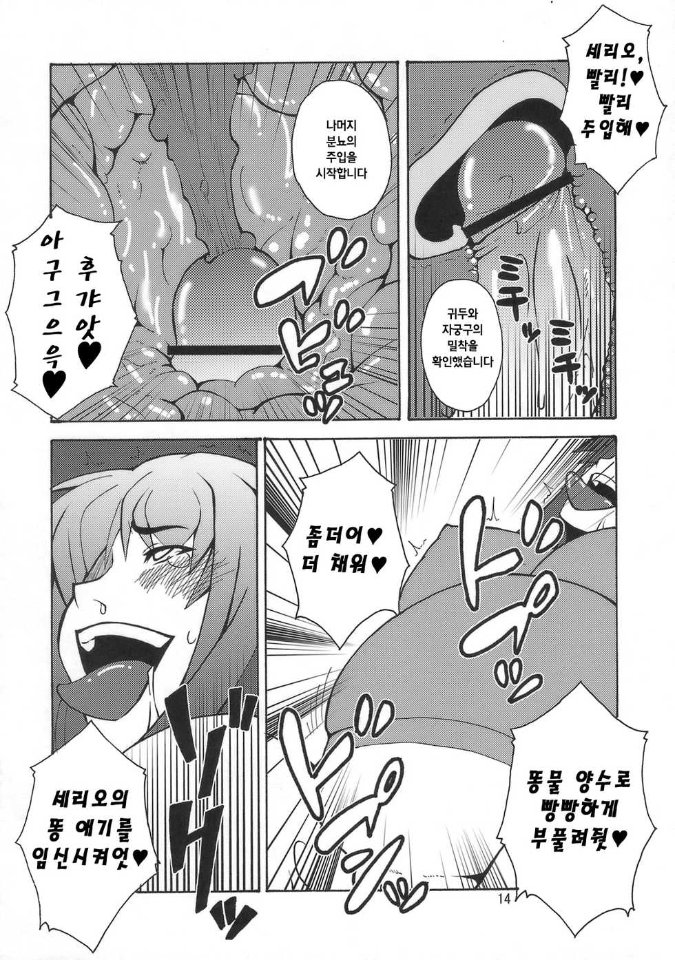 (C75) [Hanjuku Yude Tamago (Canadazin)] Kyouran Kichi (To Heart) [Korean] - Page 13