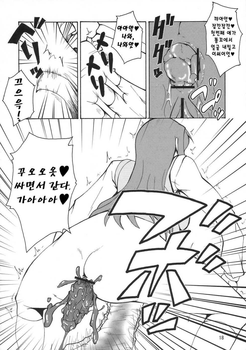 (C75) [Hanjuku Yude Tamago (Canadazin)] Kyouran Kichi (To Heart) [Korean] - Page 17