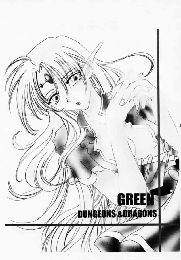(CR28) [YUKIRINS (Yuunyan)] DUNGEONS & DRAGONS GREEN (Dungeons & Dragons Shadow Over Mystara) - Page 2