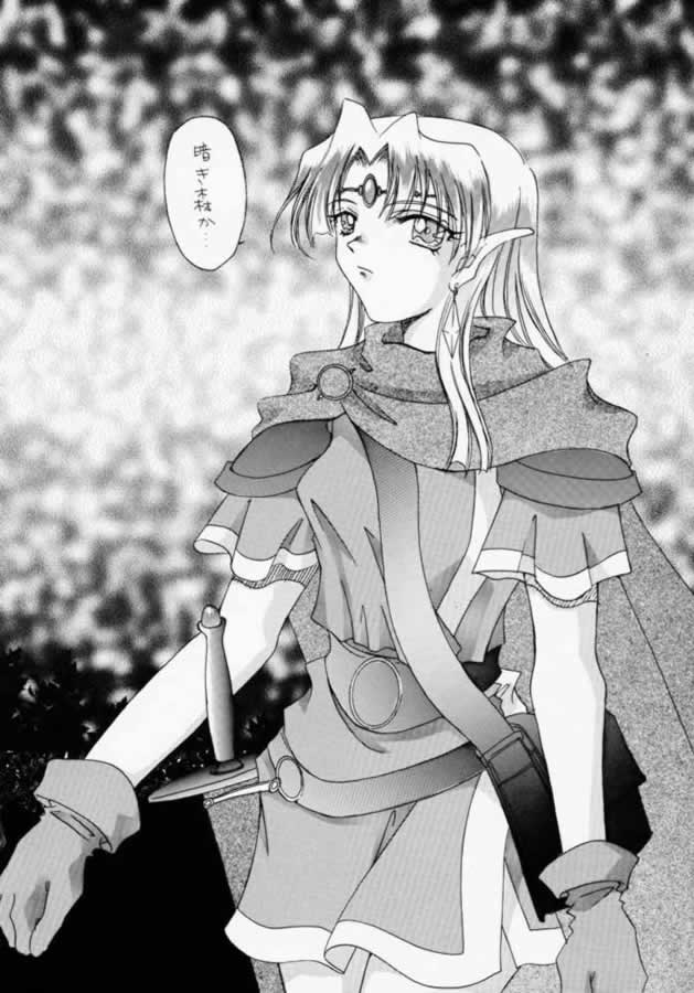 (CR28) [YUKIRINS (Yuunyan)] DUNGEONS & DRAGONS GREEN (Dungeons & Dragons Shadow Over Mystara) - Page 5