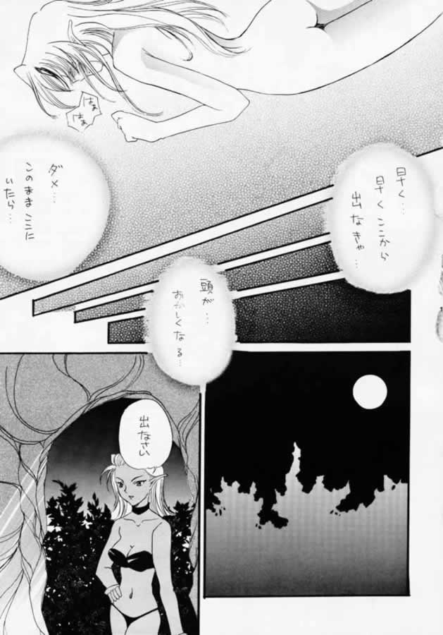 (CR28) [YUKIRINS (Yuunyan)] DUNGEONS & DRAGONS GREEN (Dungeons & Dragons Shadow Over Mystara) - Page 18