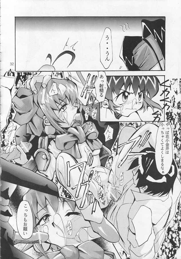 [Studio Kimigabuchi (Entokkun)] IRON MAIDEN (Akihabara Dennou Gumi) - Page 31