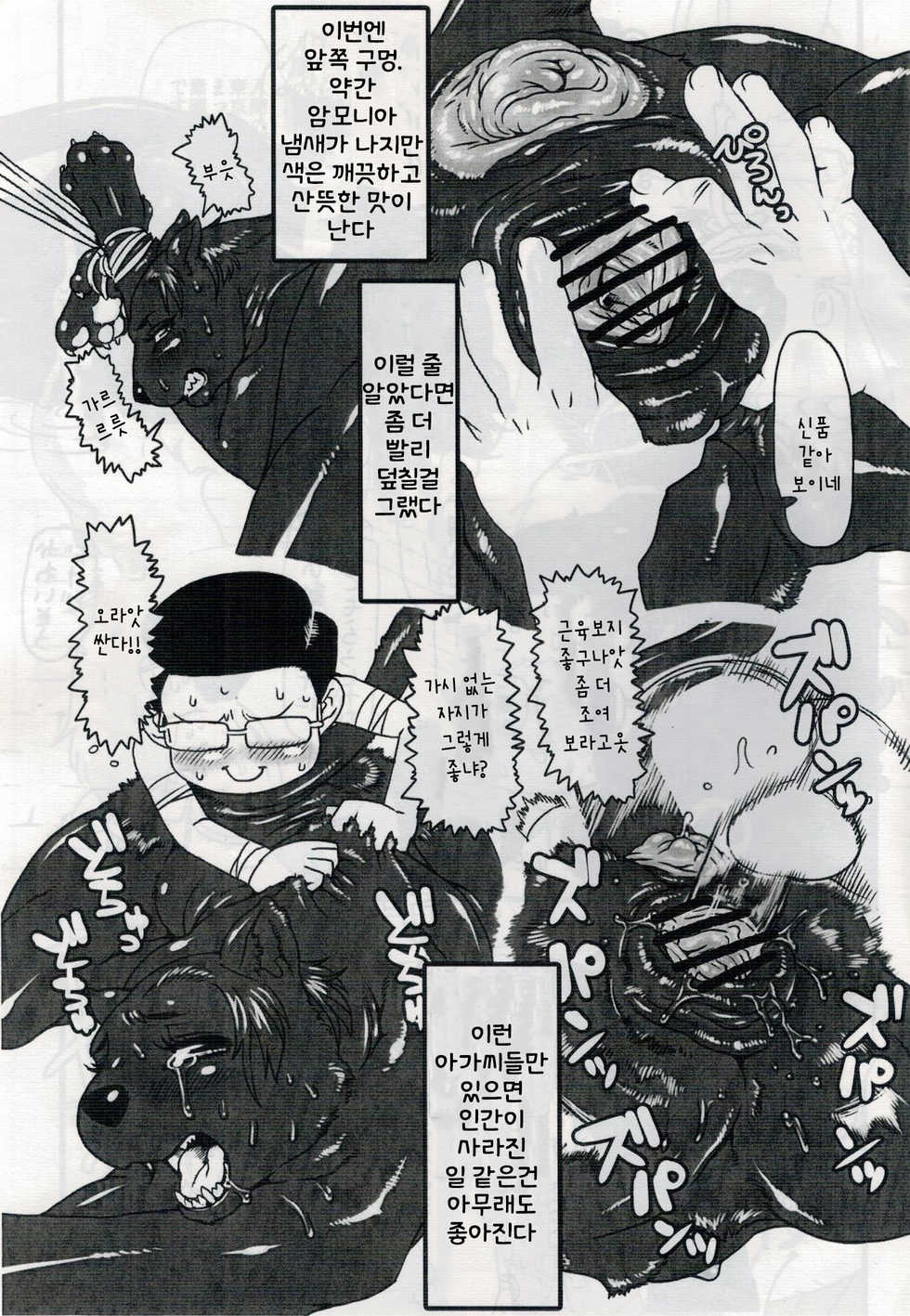 (Kansai! Kemoket) [Mayoineko (Various)] Jaku Niku Goukan | 약육강간 (TOKYO JUNGLE) [Korean] [LWND] - Page 32