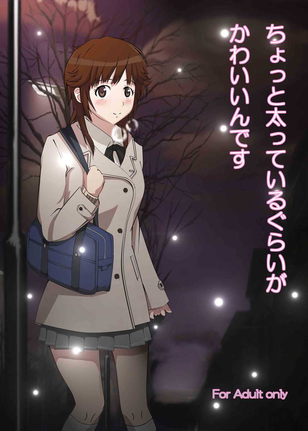 [Tezuka Manabu] ちょっと太っているぐらいがかわいいんです (Amagami) - Page 1