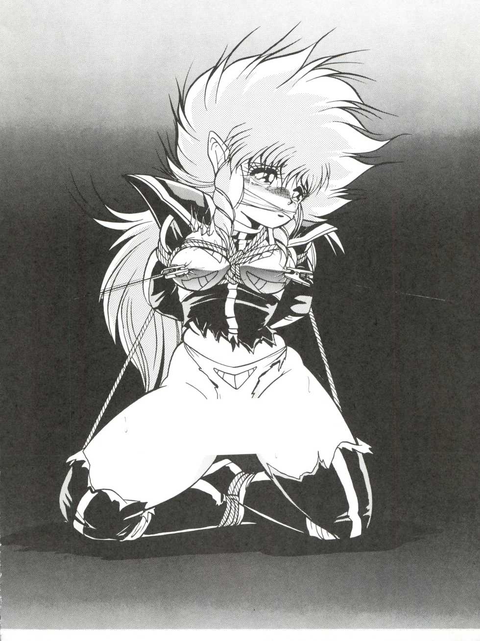 (C41) [Studio Z-AGNAM (Azuma Kyouto)] Douga Komusume (Dangaioh) - Page 12