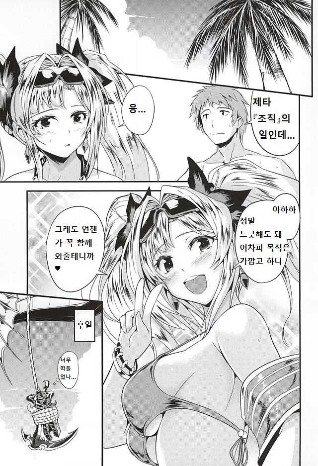 (SC2015 Autumn) [Fenarudou (Edo)] Zeta Hime to Private H (Granblue Fantasy) [Korean] - Page 21