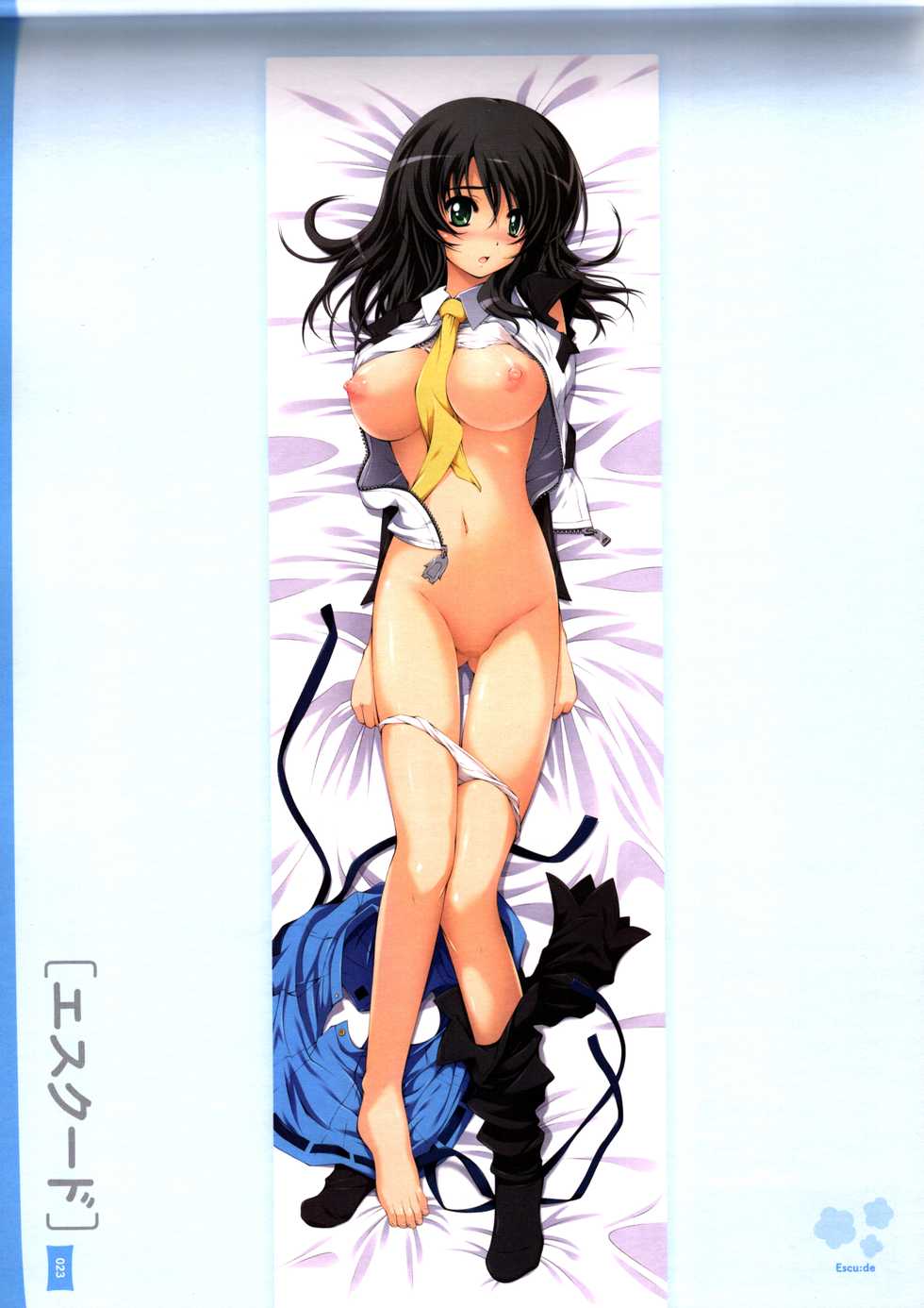 Dakimakura Cover Gashuu Bishoujo Game Hen - Page 27