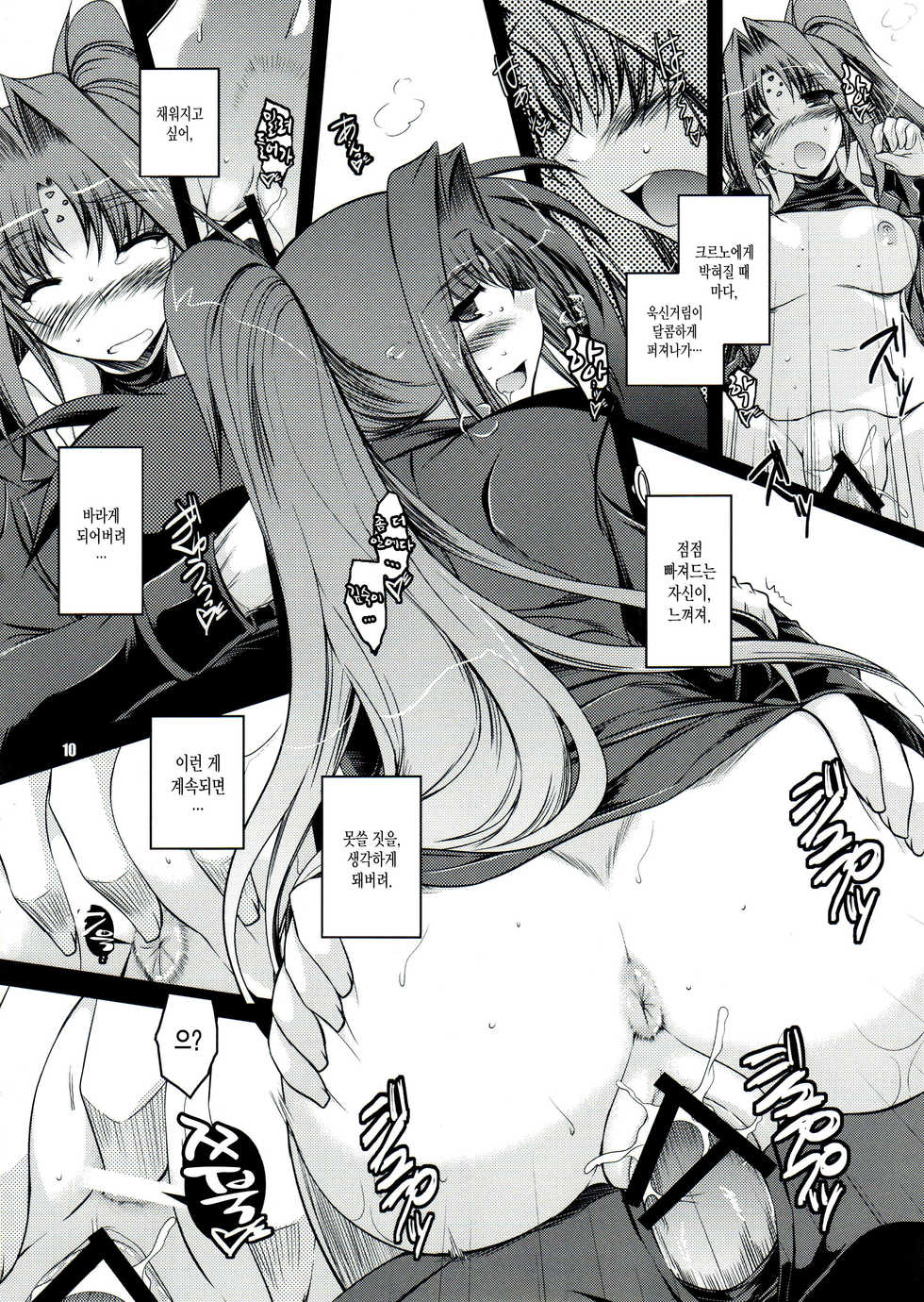 (C82) [ELHEART'S (Ibuki Pon)] ANOTHER FRONTIER EXTRA APPEND (Magical Girl Lyrical Nanoha) [korean] - Page 9