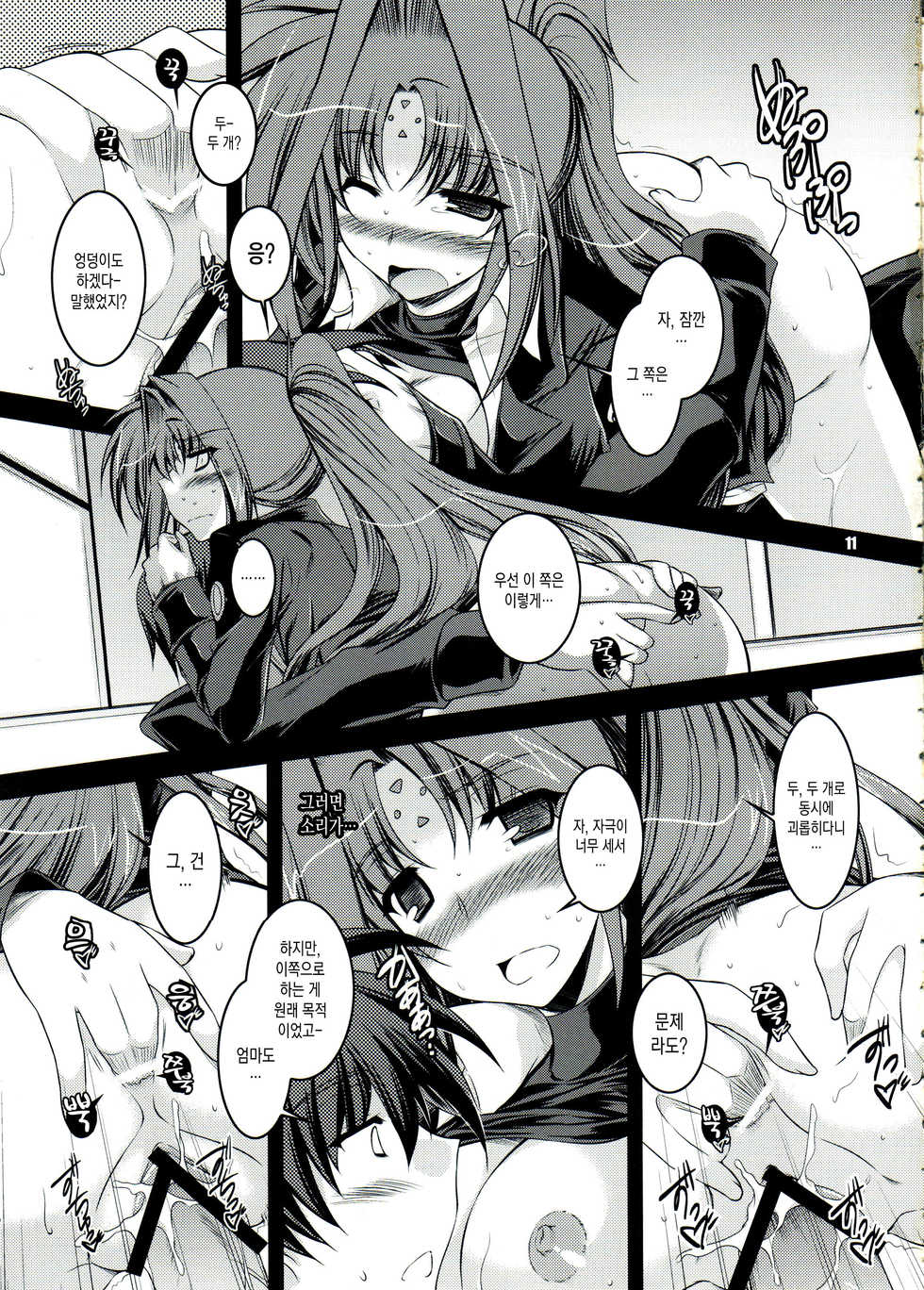 (C82) [ELHEART'S (Ibuki Pon)] ANOTHER FRONTIER EXTRA APPEND (Magical Girl Lyrical Nanoha) [korean] - Page 10