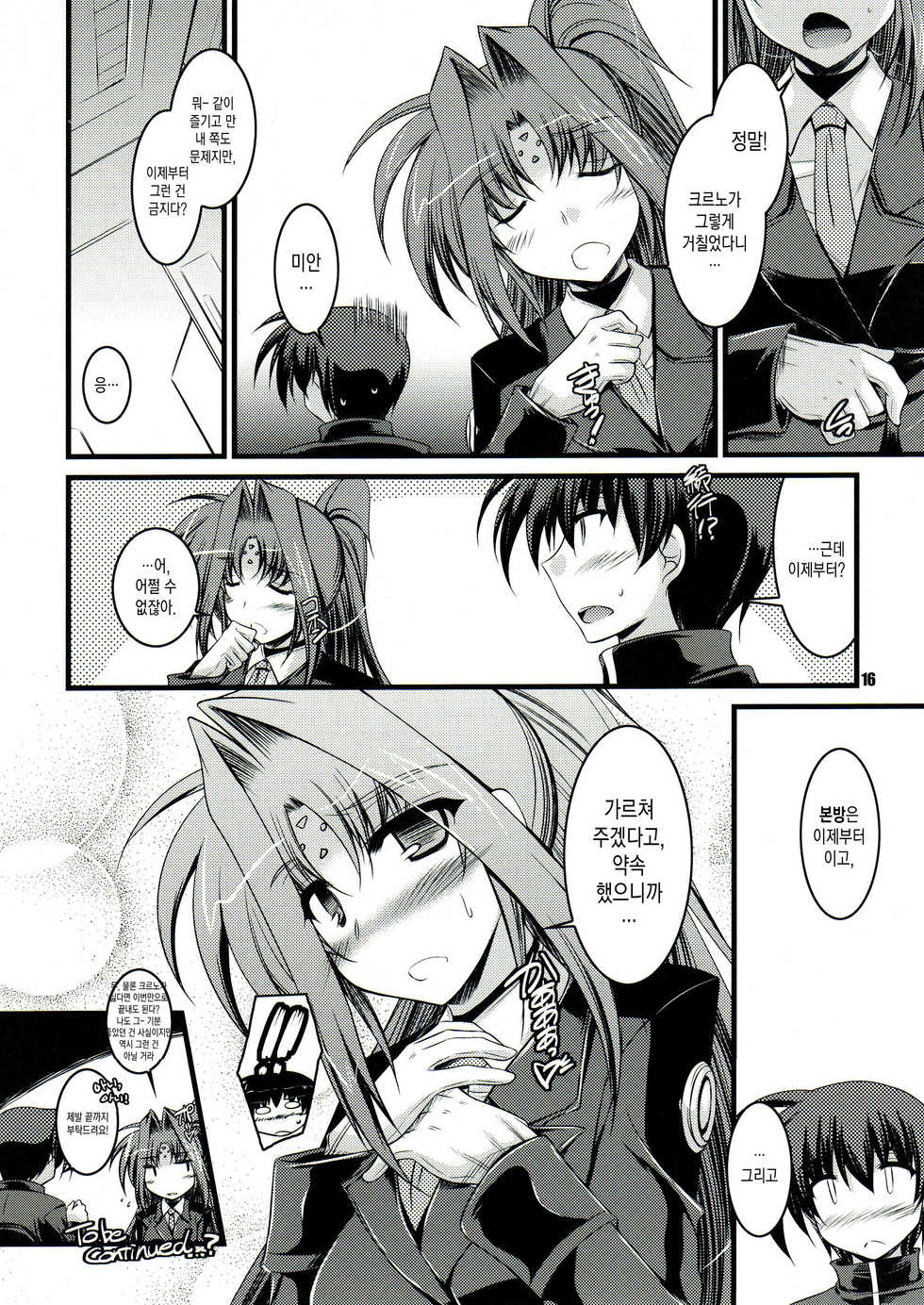 (C82) [ELHEART'S (Ibuki Pon)] ANOTHER FRONTIER EXTRA APPEND (Magical Girl Lyrical Nanoha) [korean] - Page 15
