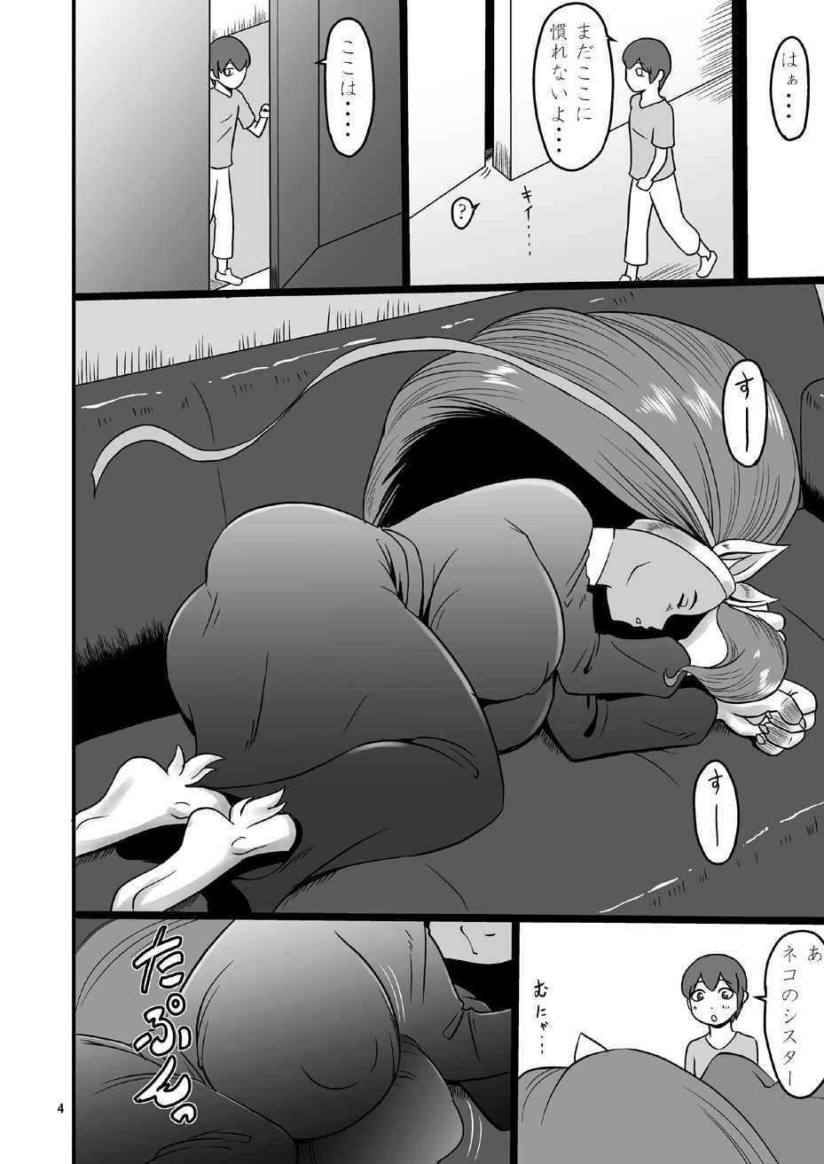 [Oneekyou (ML)] Mesu Neko Sister (Darkstalkers) [Digital] - Page 3