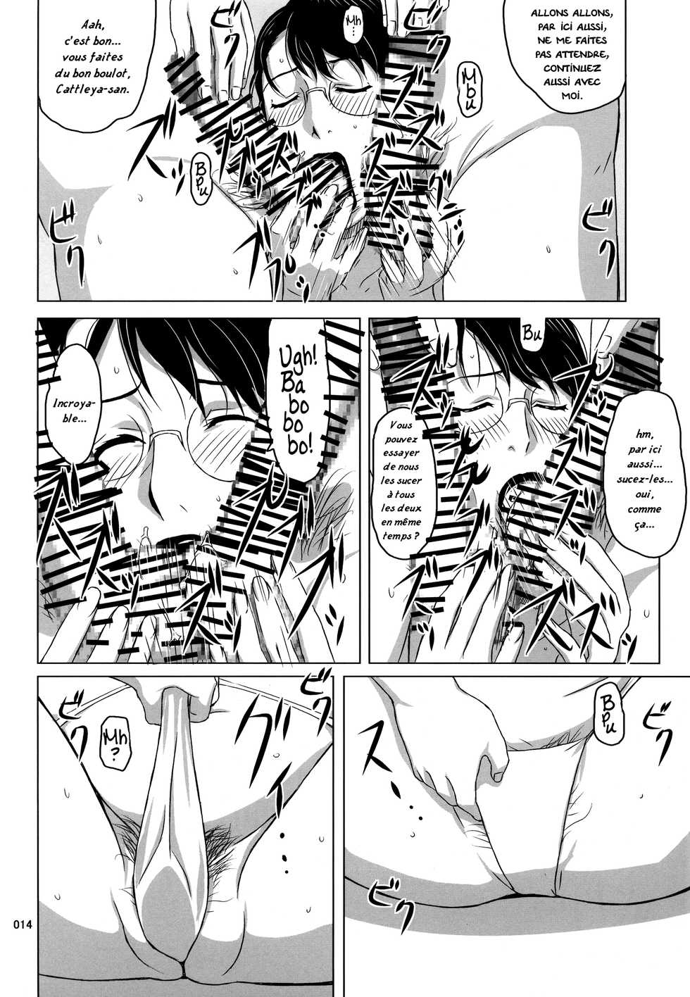 (C82) [Shiawase Pudding Dou (Ninroku)] Package Meat 9 (Queen's Blade) [French] [Excavateur] - Page 14