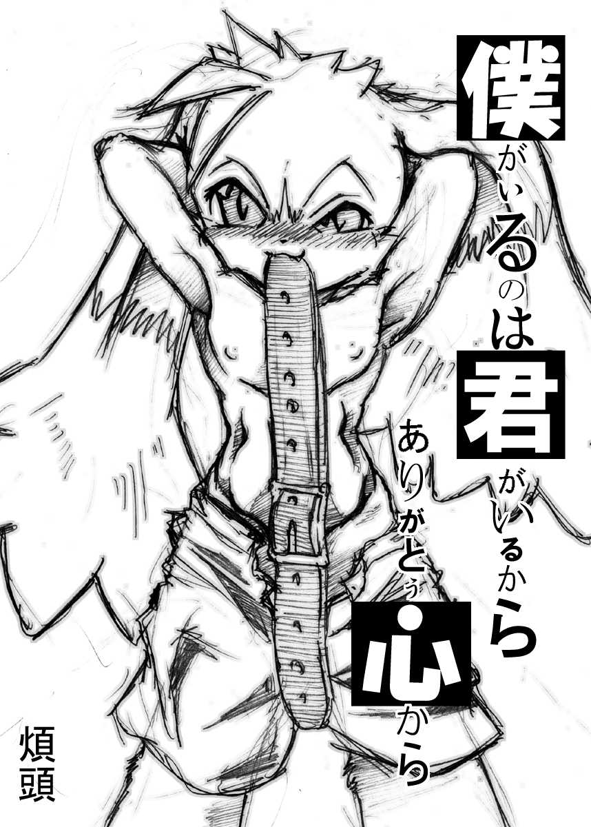 [Hanatama (Shaolin Bones)] Boku ga Iru no wa Kimi ga Iru kara Arigatou Kokoro kara (Klonoa) [Digital] - Page 2