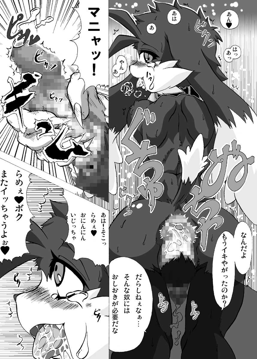 [Hanatama (Shaolin Bones)] Boku ga Iru no wa Kimi ga Iru kara Arigatou Kokoro kara (Klonoa) [Digital] - Page 13