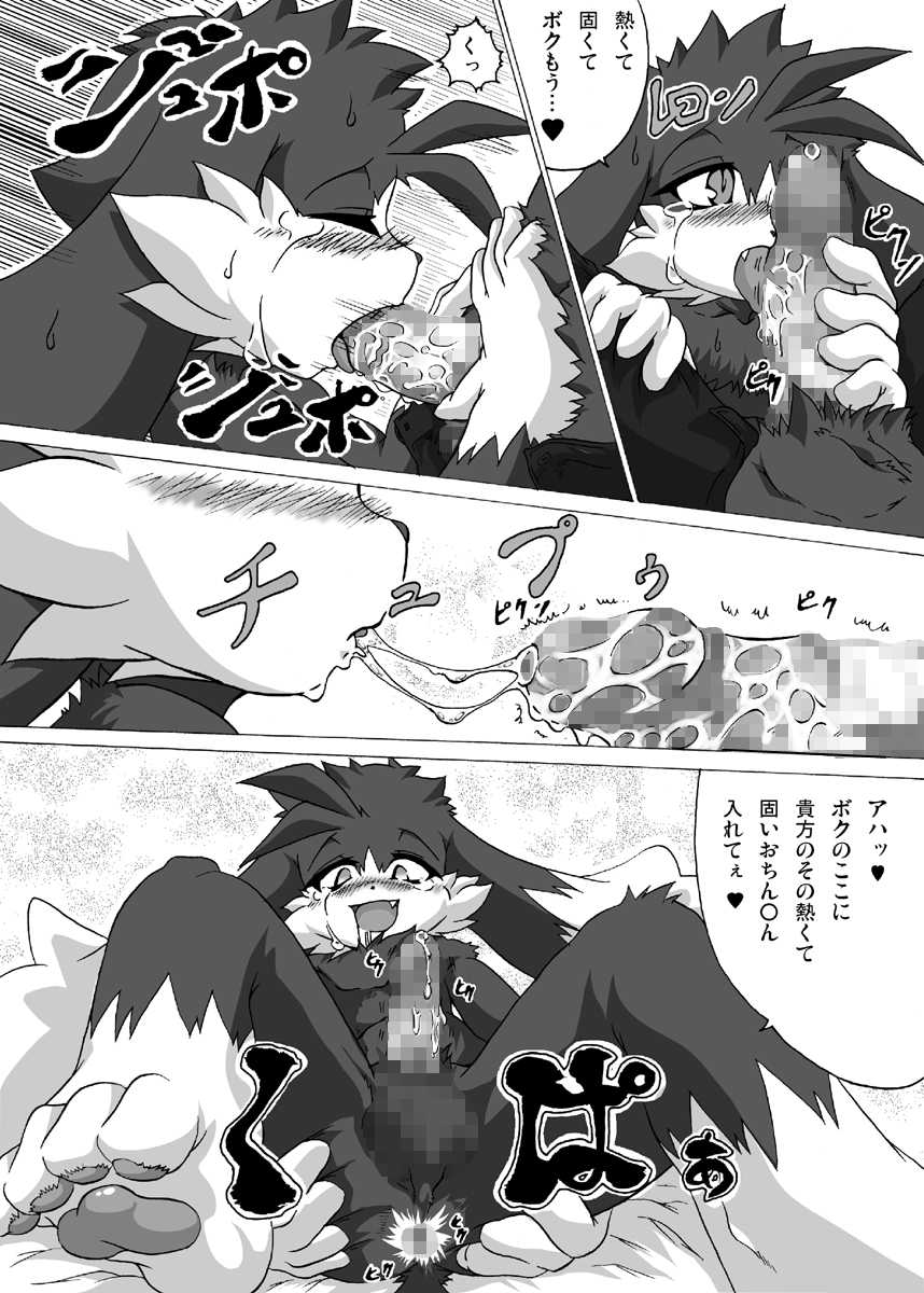 [Hanatama (Shaolin Bones)] Boku ga Iru no wa Kimi ga Iru kara Arigatou Kokoro kara (Klonoa) [Digital] - Page 24