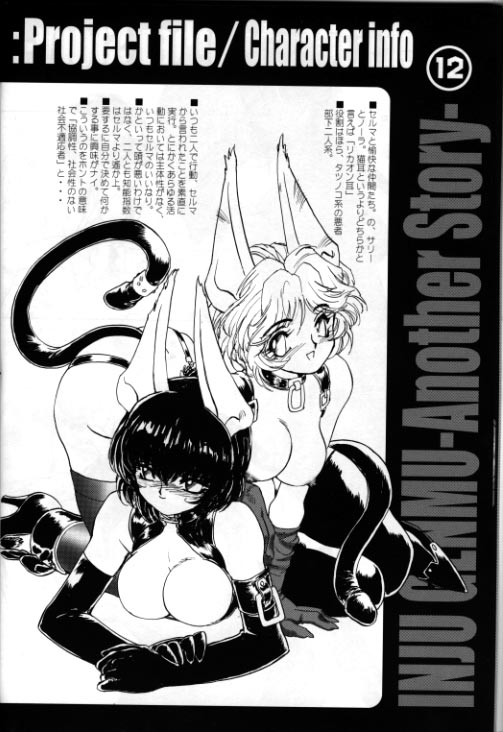 (CR29) [HQ's, UNIT-RB (Kajiyama Hiroshi)] A WORKS THIRD Injuu Genmu Another Story Project File - Page 11