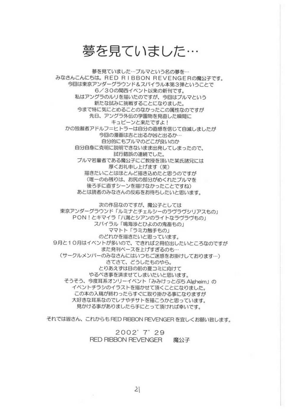 [Red Ribbon Revenger] Valhalla ~Joshou~ (Tokyo Underground & Spiral) - Page 21