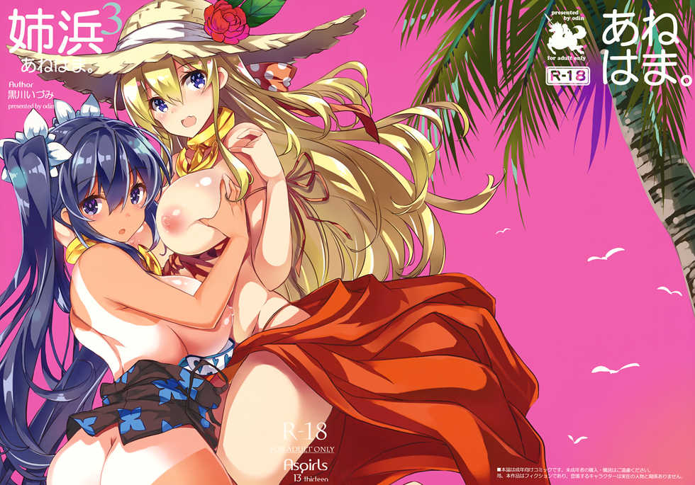 [odin (Kurokawa IZUMI)] Anehama. 3 | Sister Beach 3 [English] =TLL + mrwayne= - Page 1