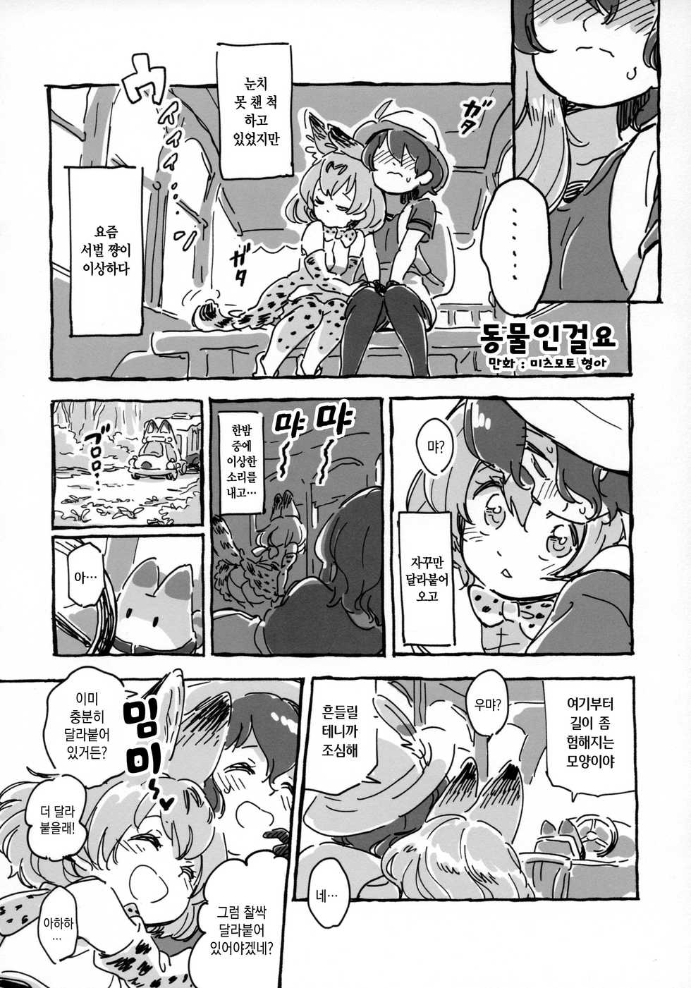 (Japariket 3) [Sarasara Chazuke (Various)] Yuri Ecchihou | 백합 엣찌 지방 (Kemono Friends) [Korean] - Page 15
