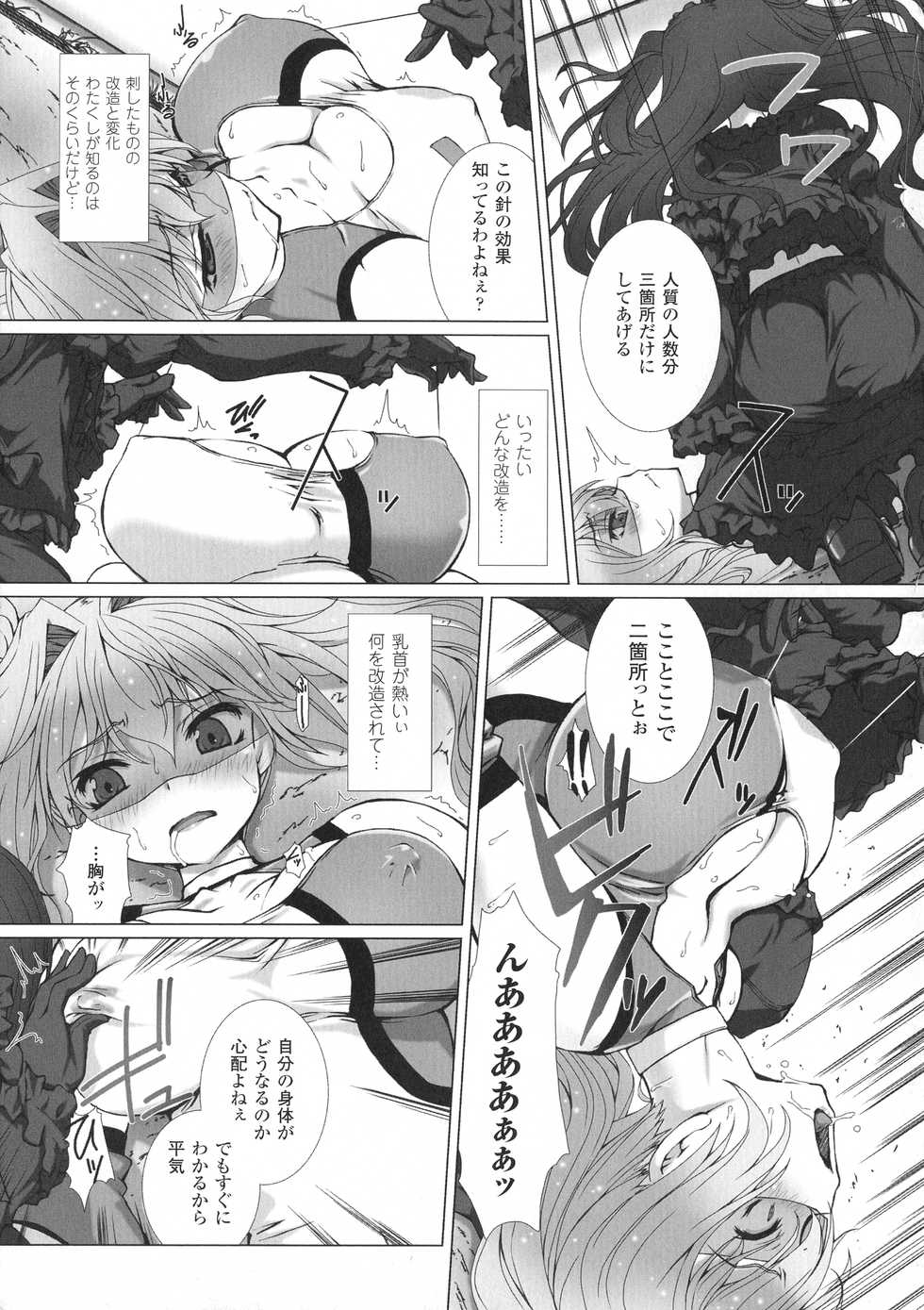 [Anthology] Seigi no Heroine Kangoku File DX Vol. 8 - Page 7