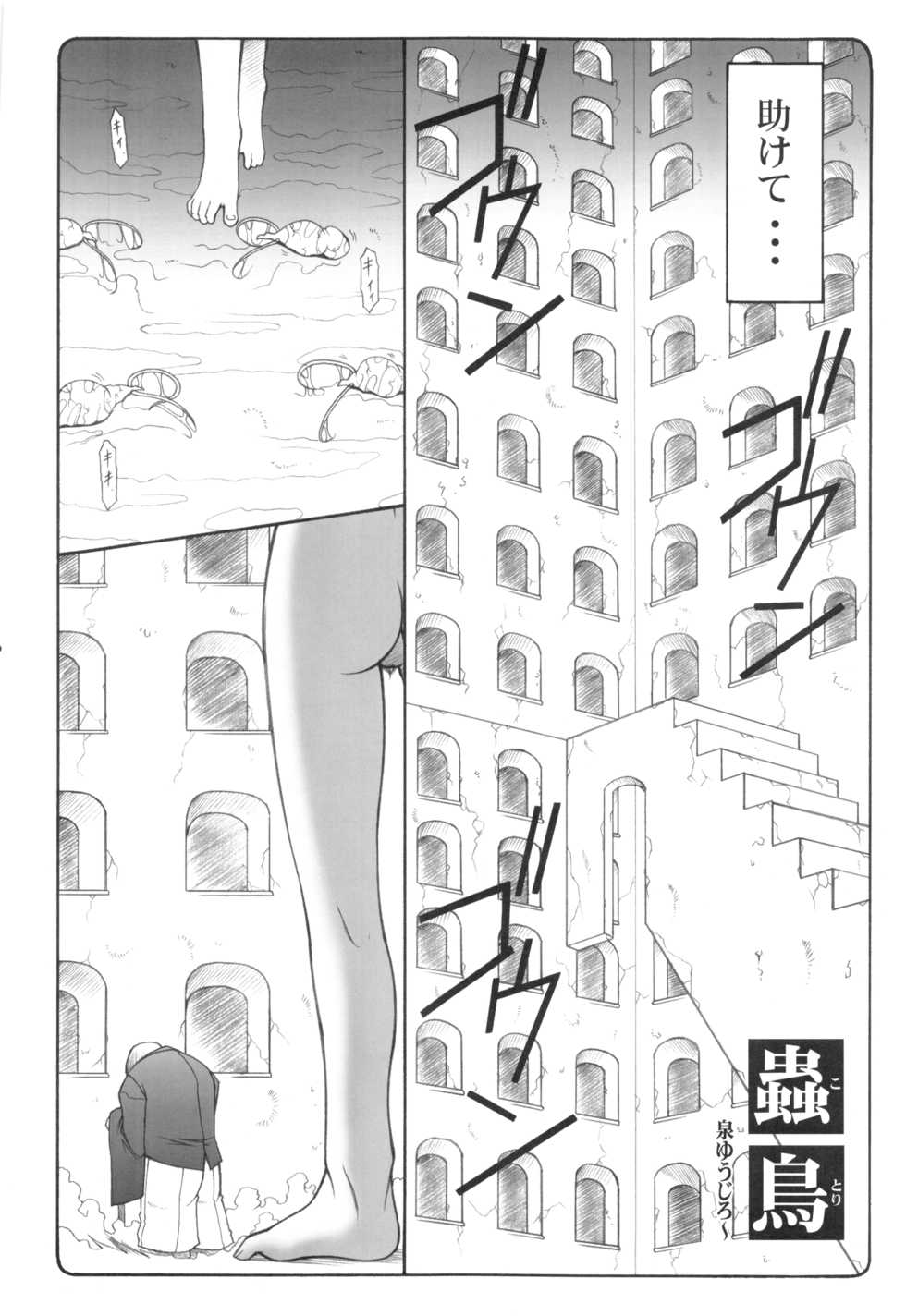 (C83) [Abarenbow Tengu (Izumi Yuujiro)] Kotori 1～8 (Fate/stay night) - Page 5