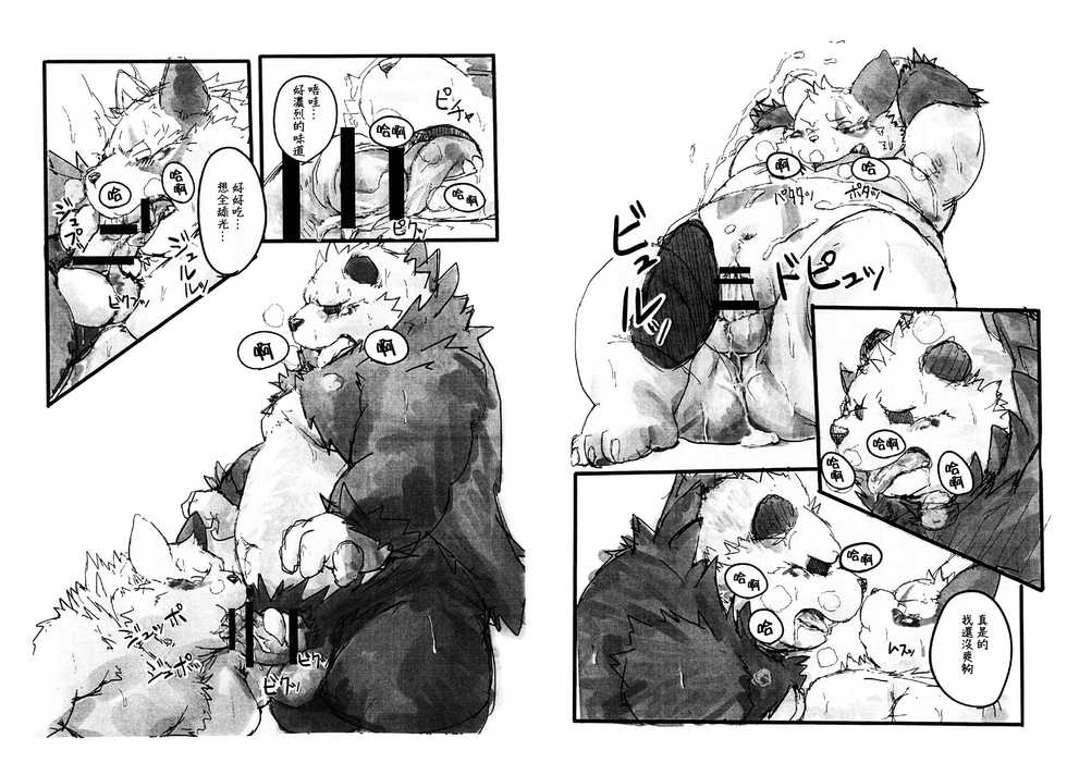 (C87) [Kotobukiya (kotobuki)] Goro x Zan Bon | 流氓熊猫X猫鼬斩本 (Pokémon)  [Chinese] [日曜日漢化組] - Page 7