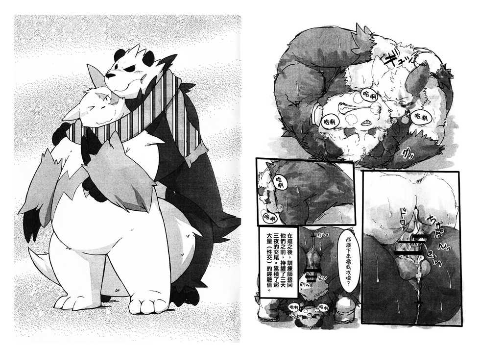 (C87) [Kotobukiya (kotobuki)] Goro x Zan Bon | 流氓熊猫X猫鼬斩本 (Pokémon)  [Chinese] [日曜日漢化組] - Page 9