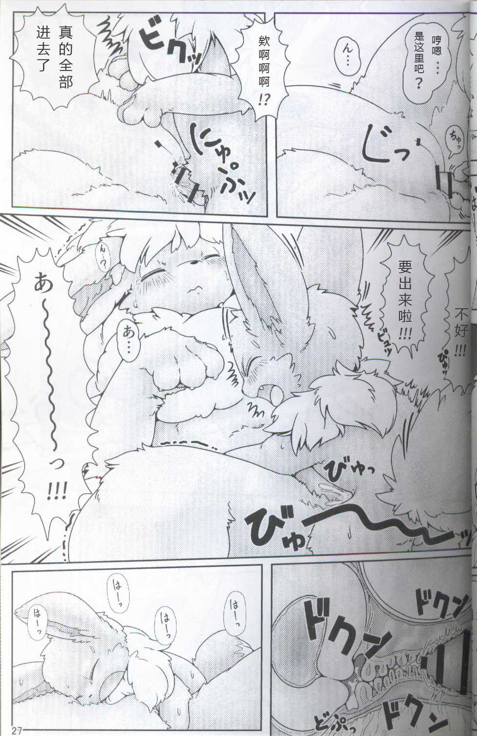 (C91) [BEart (Various)] EeveeROlution 2 (Pokémon) [Chinese] [虾皮汉化组] - Page 23