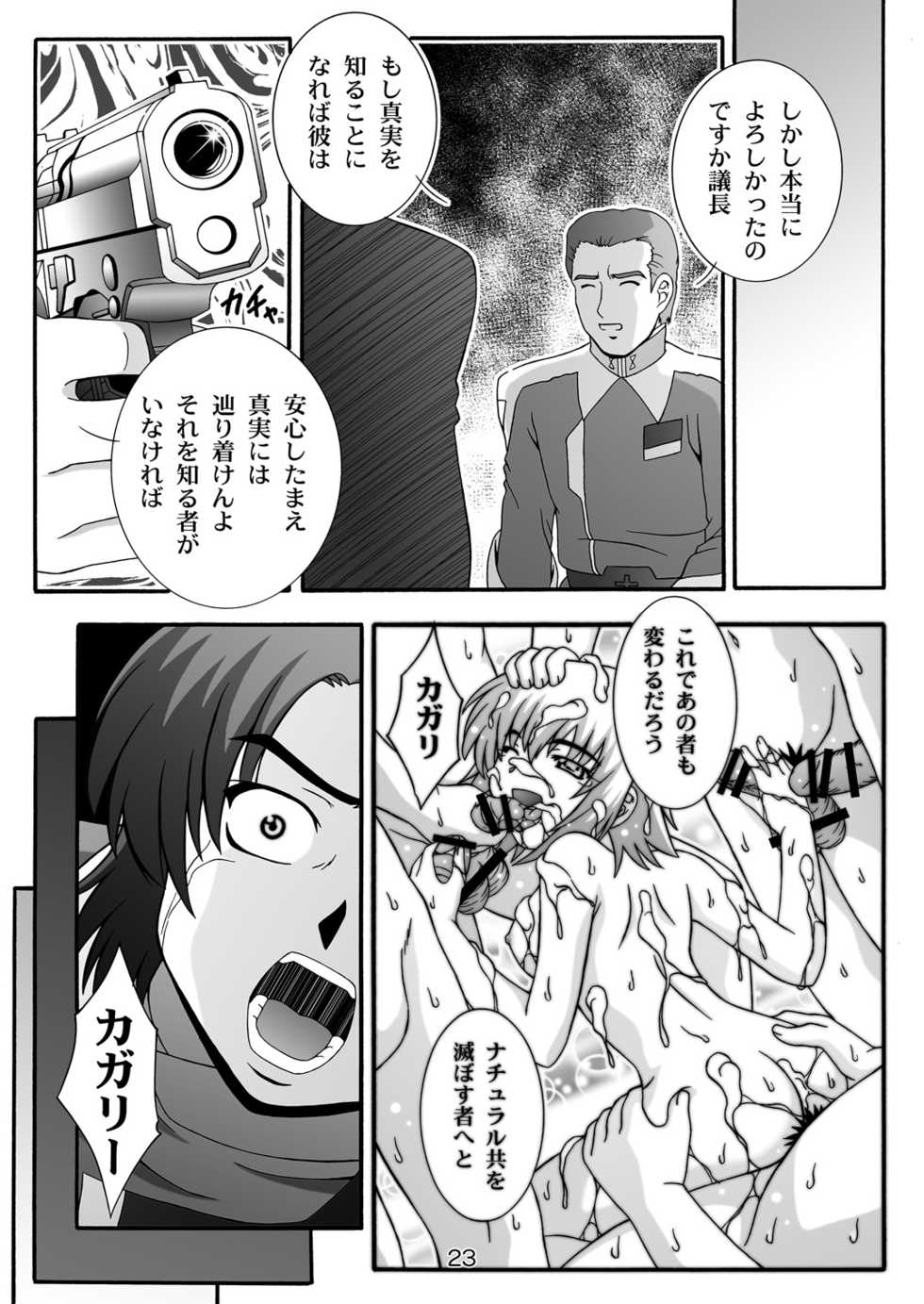 [Studio Wallaby (Takana Yu-ki)] SECRET FILE NEXT 12 - The Unhealing Cross Scar [Gundam Seed Destiny] [Digital] - Page 23