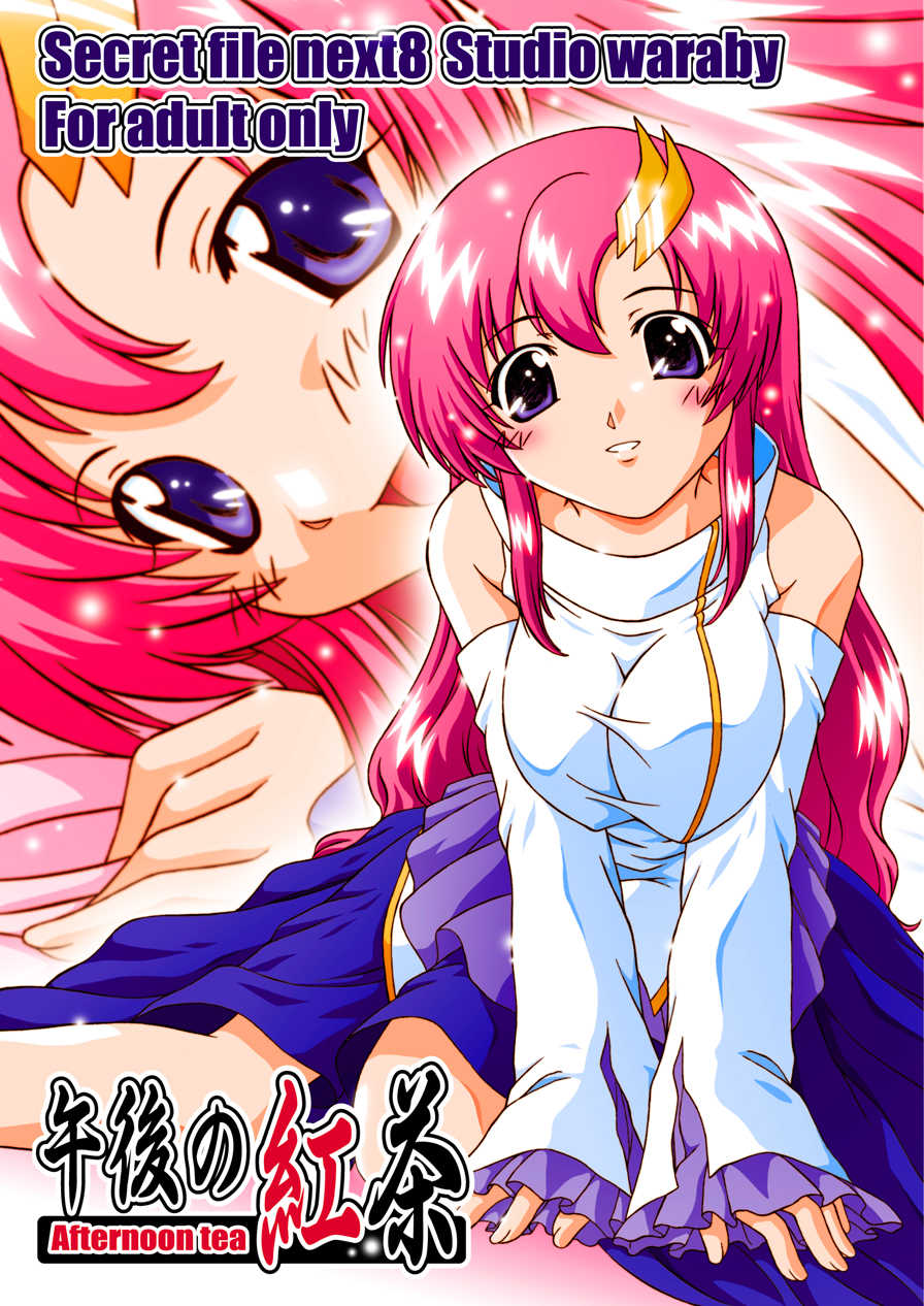 [Studio Wallaby (Takana Yu-ki)] SECRET FILE NEXT 8 - Afternoon Tea (Gundam Seed) [Digital] - Page 1