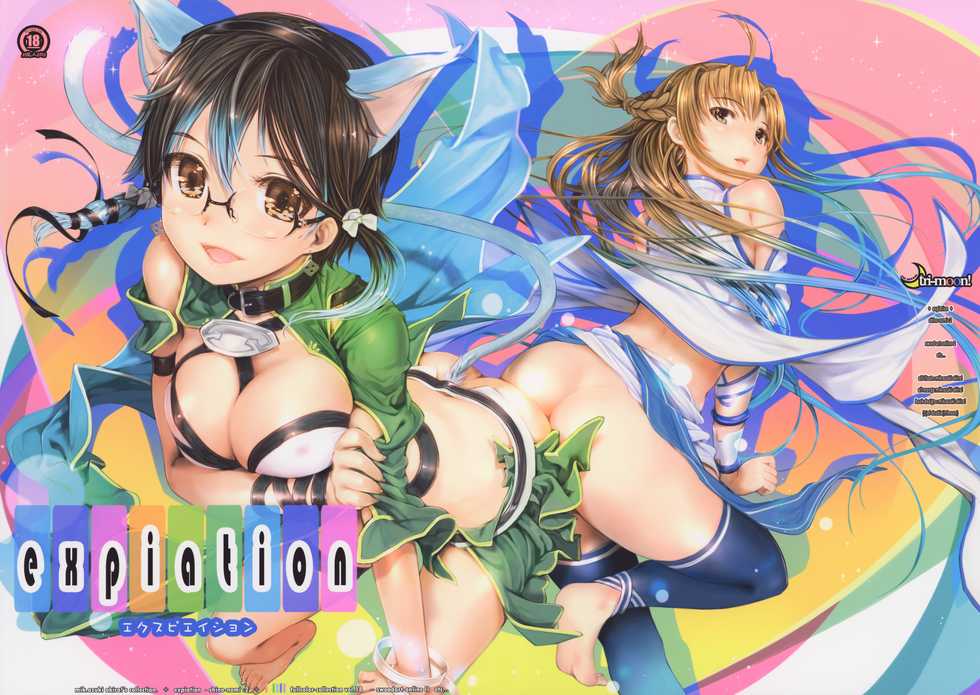(C91) [TRI-MOON! (Mikazuki Akira!)] expiation (Sword Art Online) - Page 36