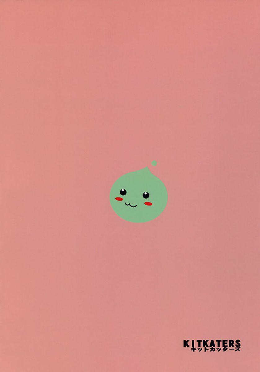 (C64) [KitKaters (Takaoka Motofumi)] Aco Masshigura! (Ragnarok Online) - Page 26