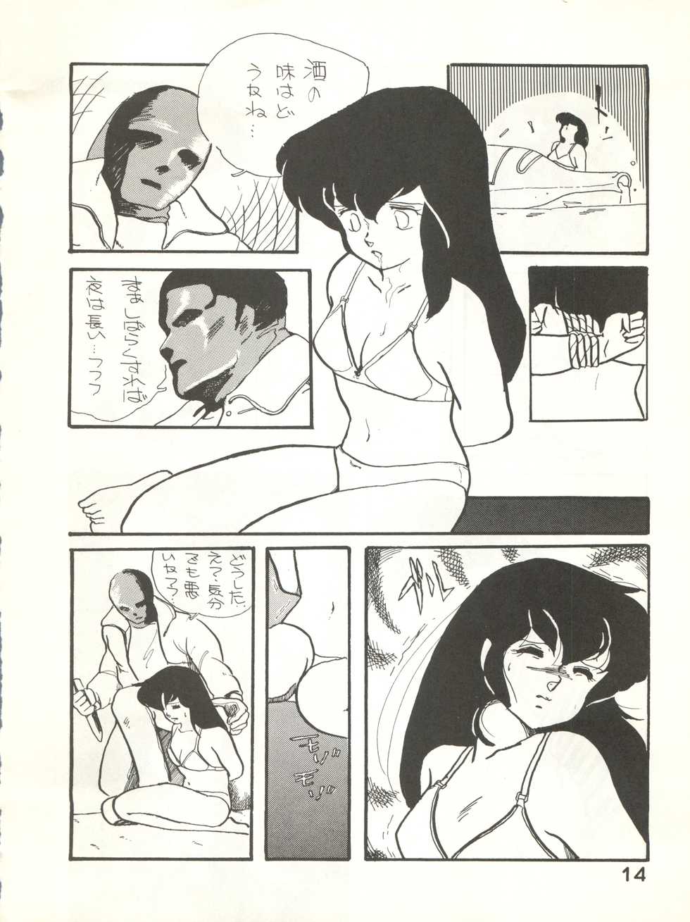 (C27) [Bible (Ogata Satomi, Tiger Shark, Sukurinton)] Natsuzuisen (Maison Ikkoku) - Page 14