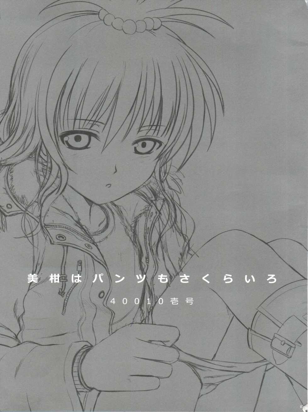 Shimanto Shisakugata