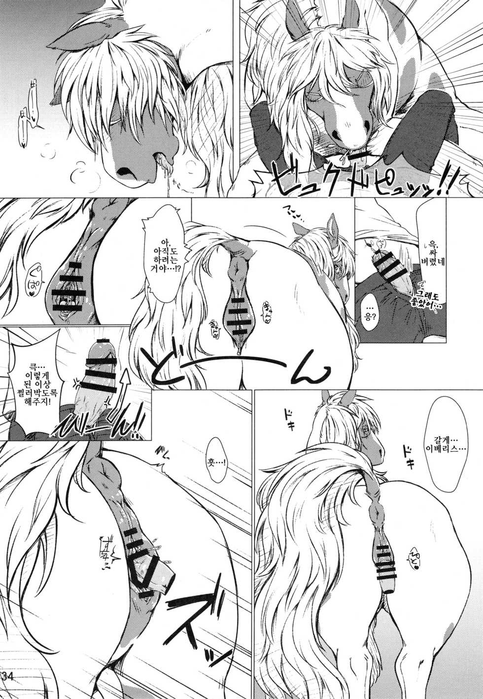 (Kemoket 6) [Mayoineko (Various)] Mare Holic 5 Kemolover EX [Korean] [LWND] - Page 33