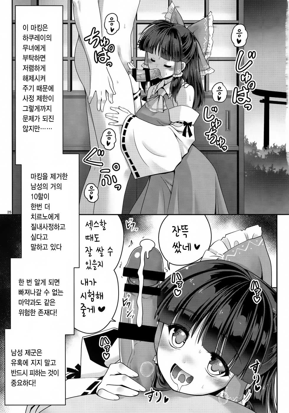 (SC2017 Autumn) [Yosutebito na Mangakaki (Tomoki Tomonori)] Seieki ni Muragari Suitsuku Yousei-tachi | 정액에 떼지어 달라붙는 요정들 (Touhou Project) [Korean] - Page 25